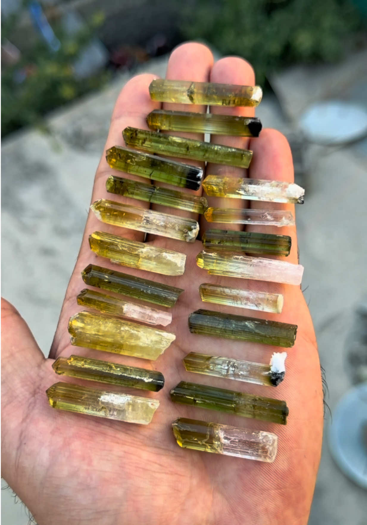 @Khushall Gems