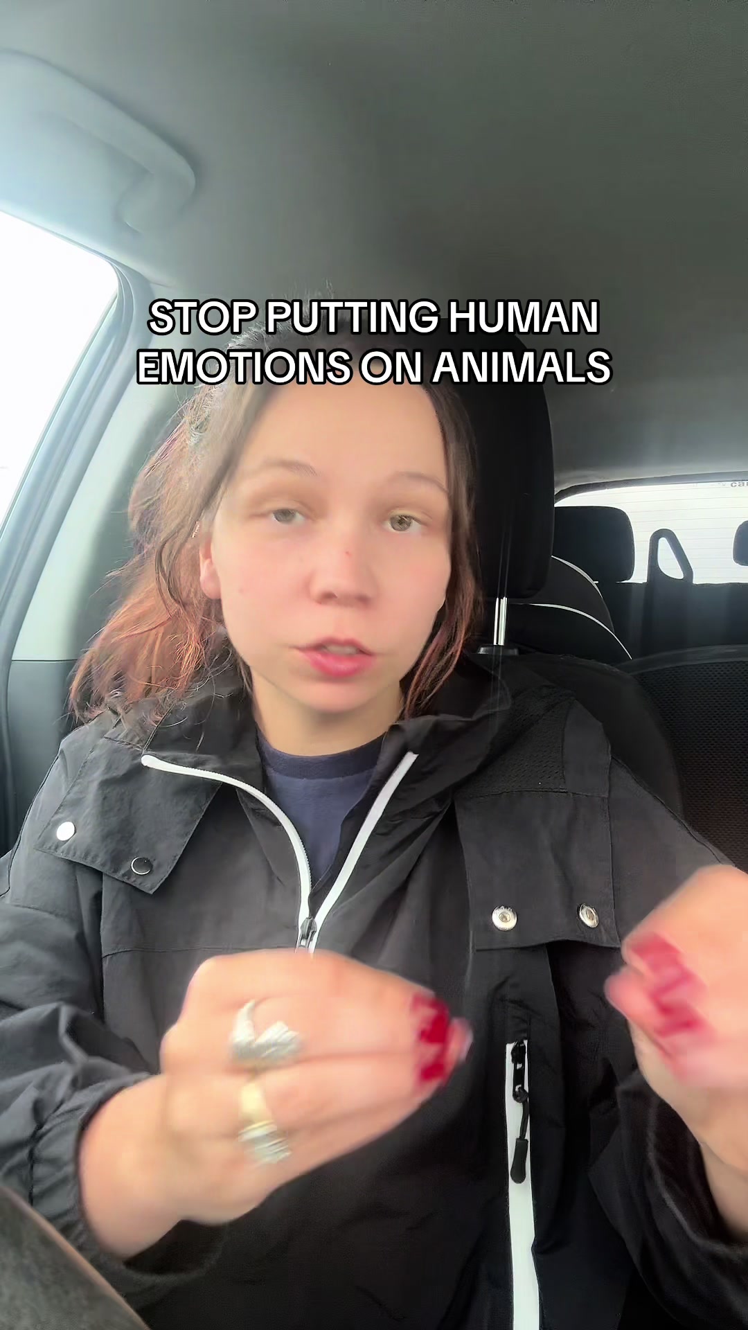 @Kayleigh + Dogs
