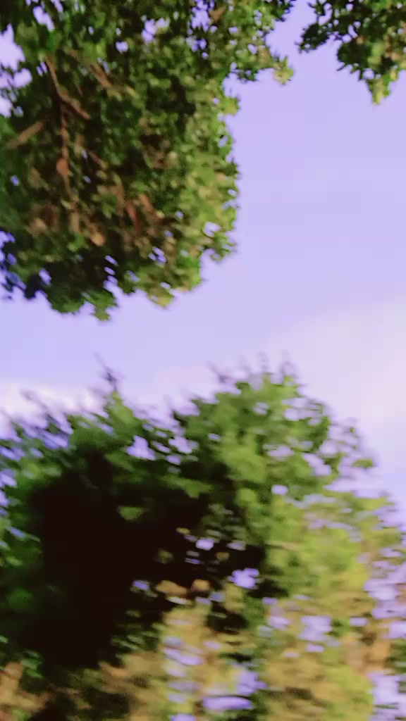 @🦋🌺প্রজাপতি🌺🦋