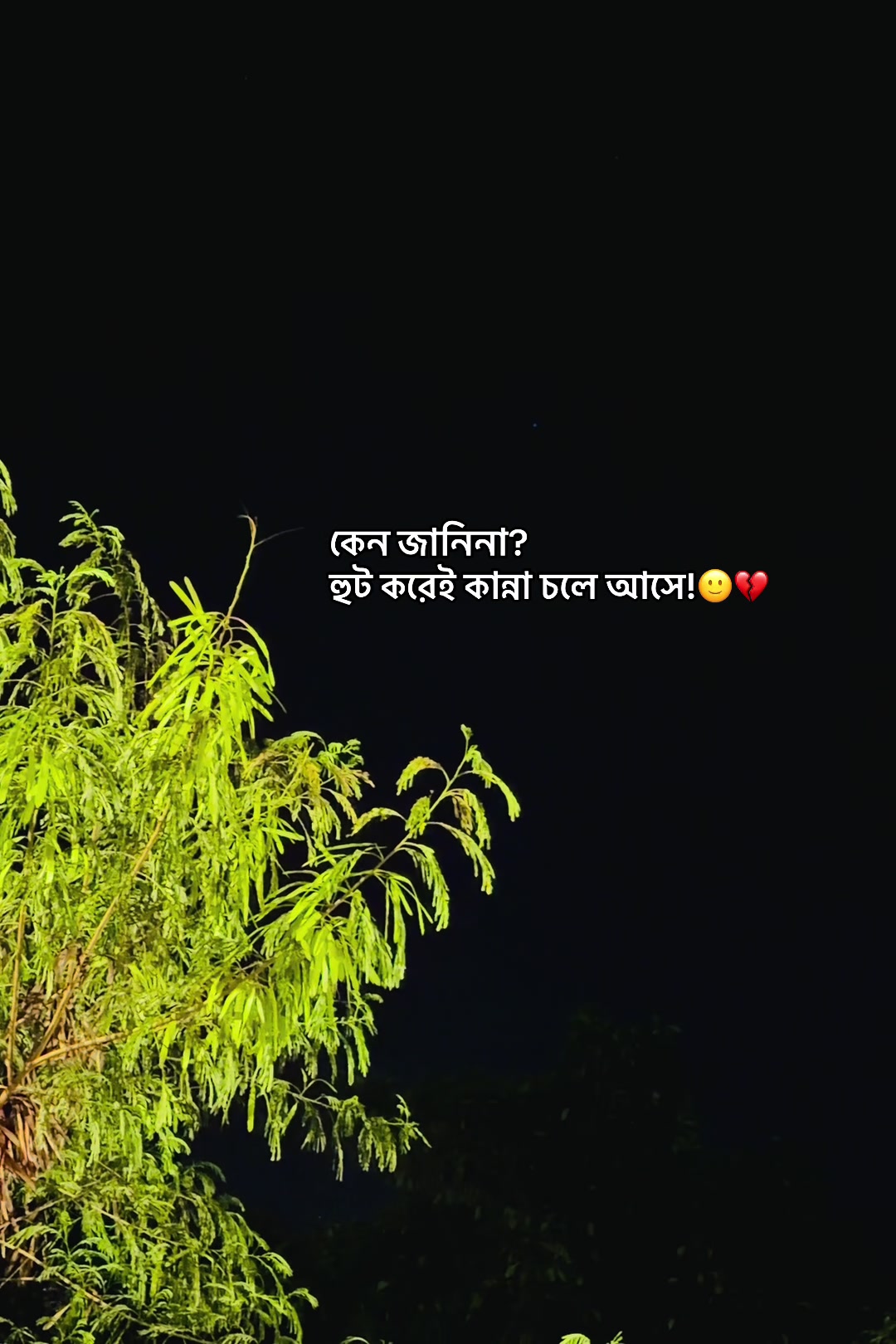@आईएएन ┊🐥