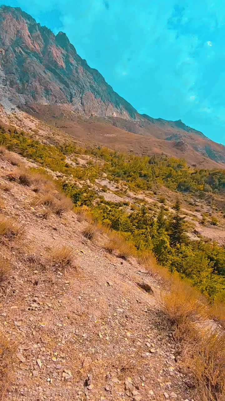 @Bazme_Chitral