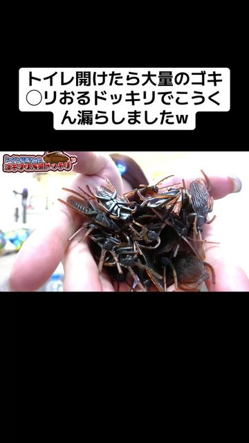 @いちえ（夜のひと笑い）