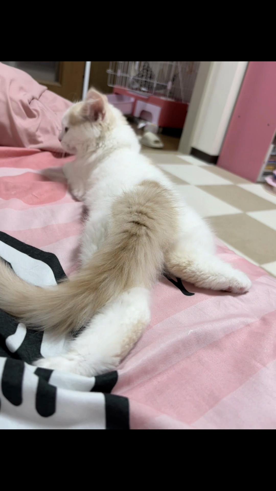 @Kiki