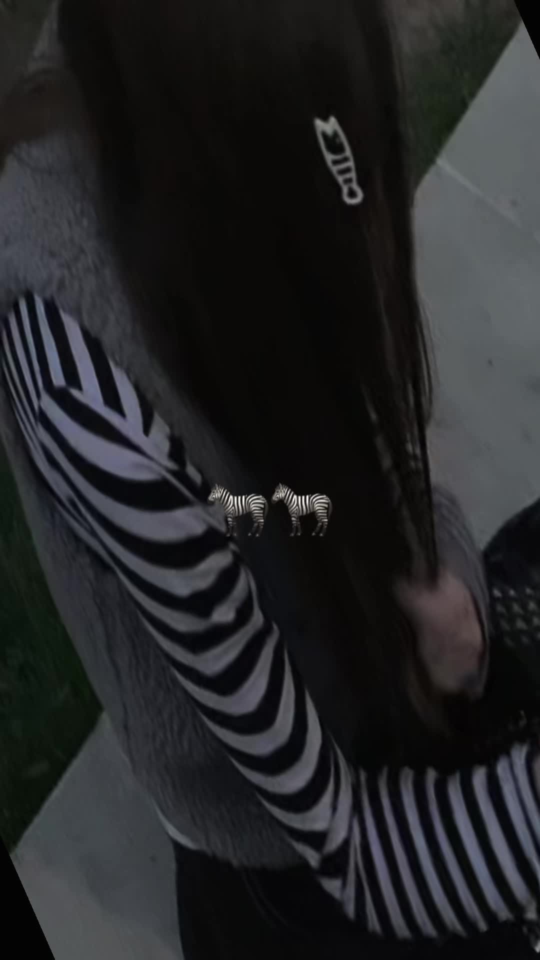 @mihnosha