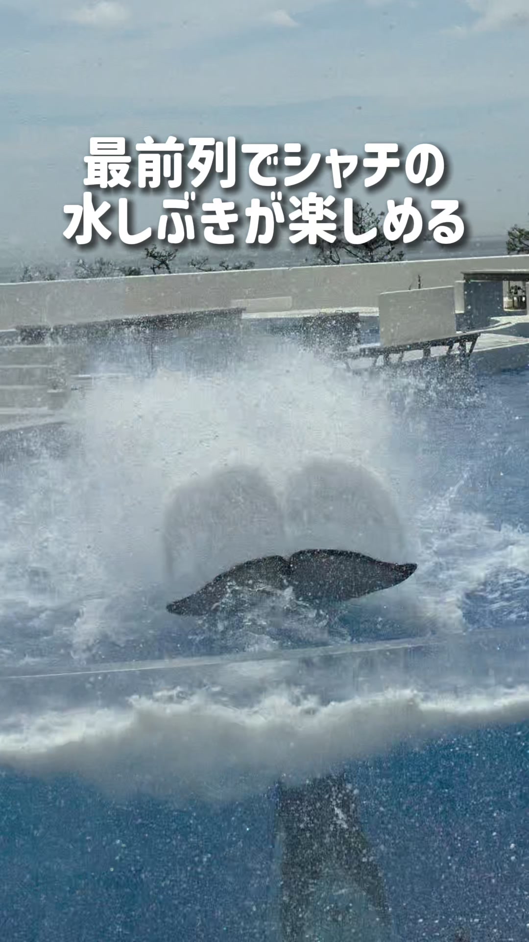 @MOROTAAN✈️出張の楽しみ