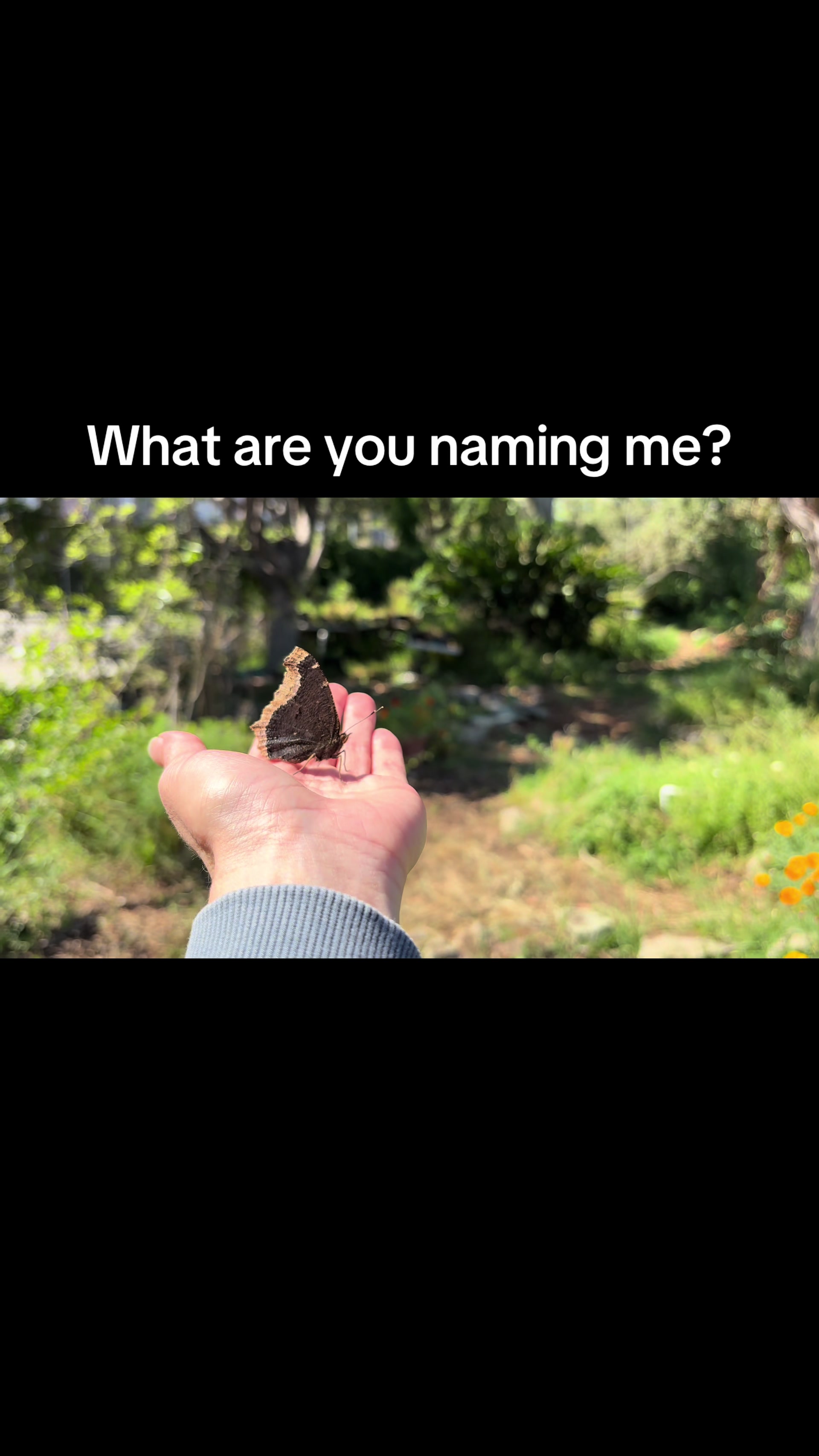 @𓁛𓂀Reesa𓂀𓁞