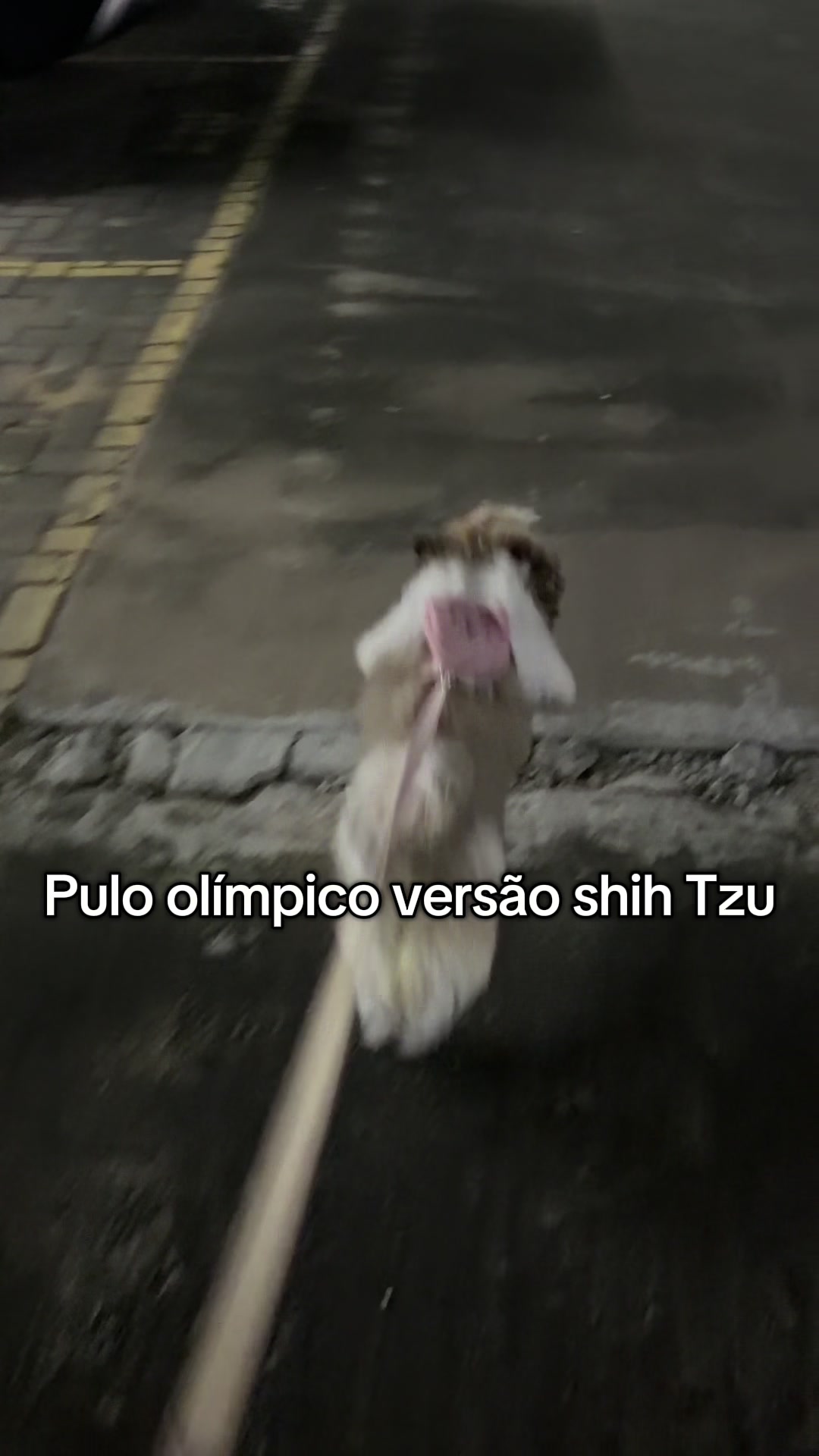 @Andrezza