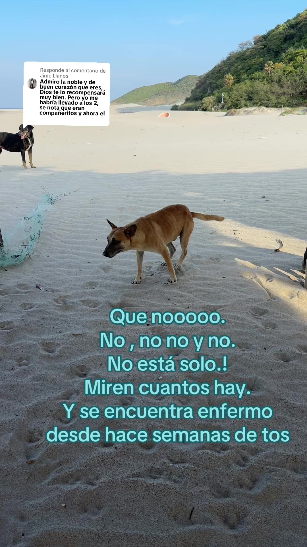 @Rescatando a los Peludos
