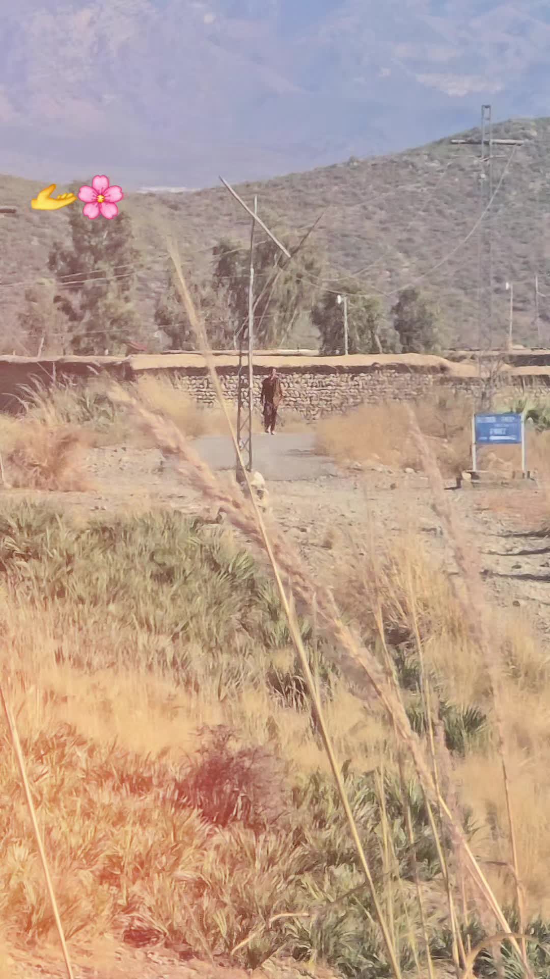 @عرفان 🌸