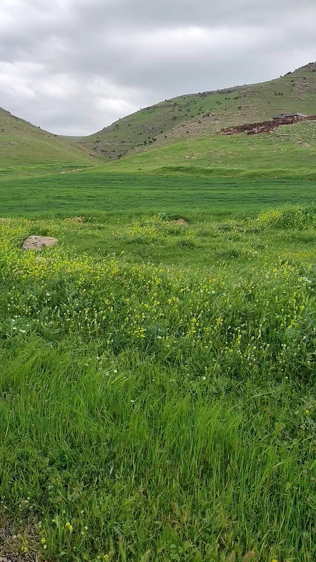 @keşfet