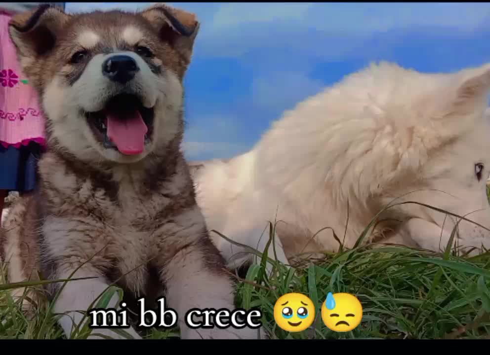 @Lizbeth Tal
