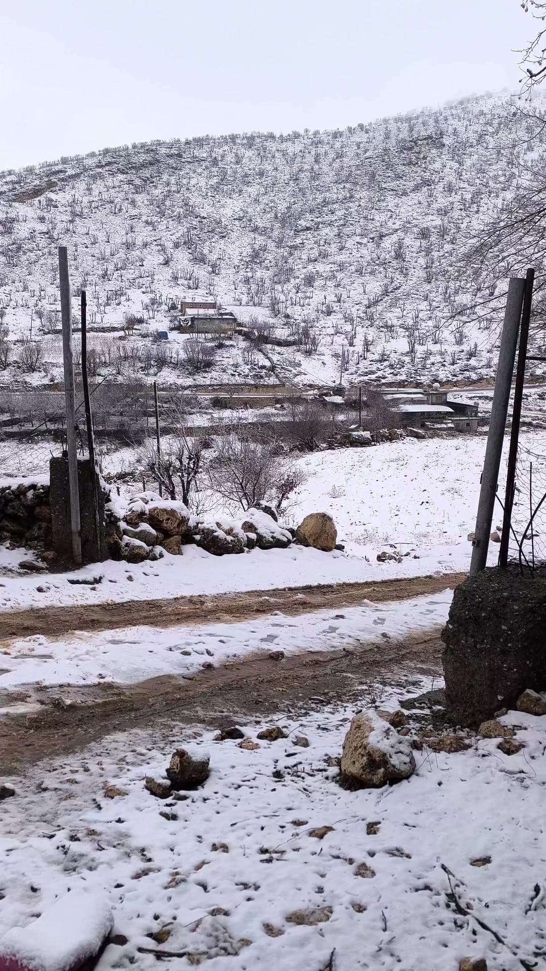 @Ömer Kaydaş