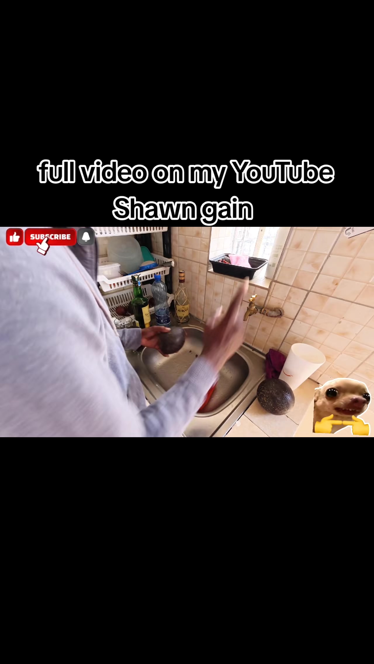 @💯SⱧ₳₩₦ ₲₳ł₦💯