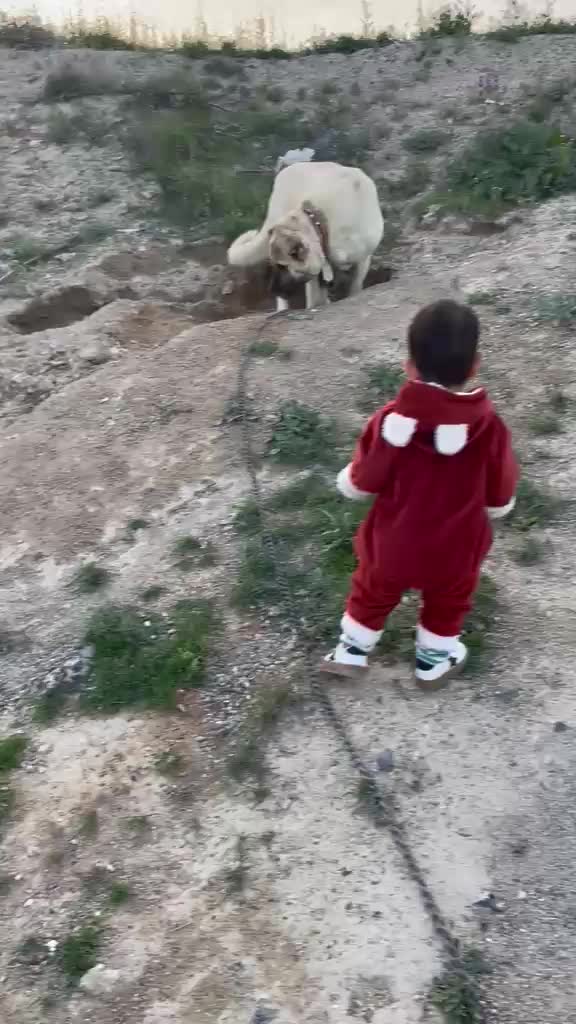 @kayaahmet50