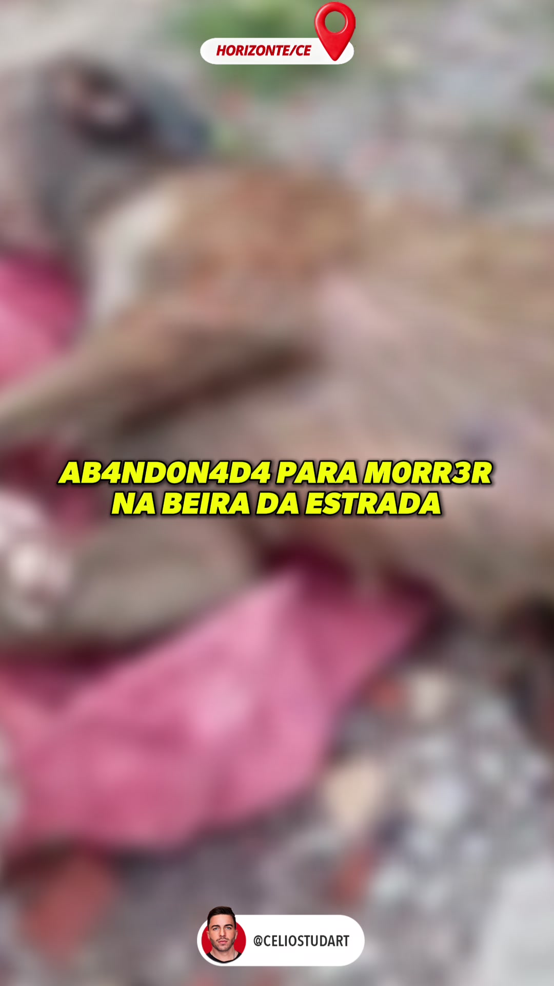 @celiostudart
