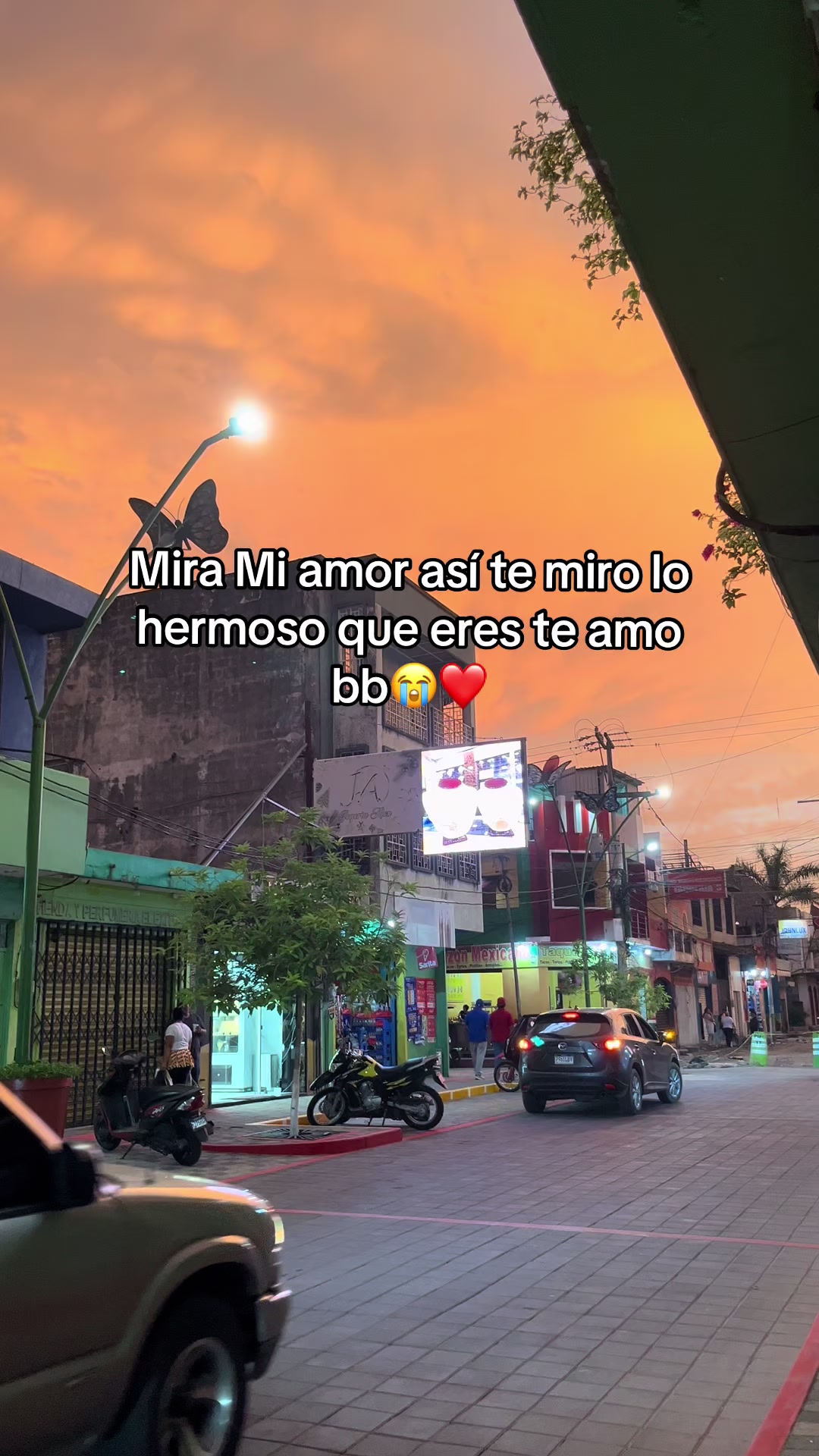 @Castro🍃