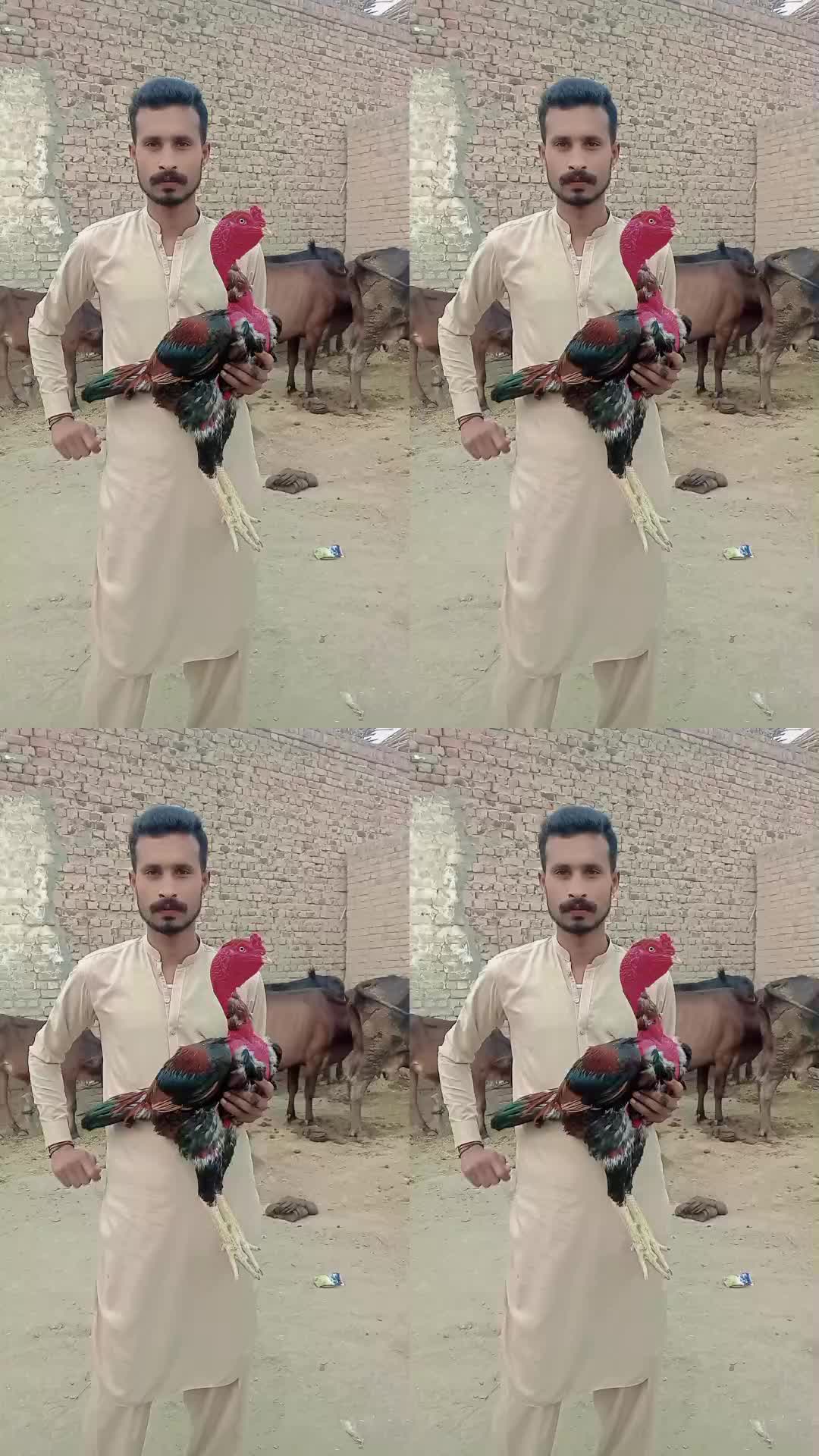 @shoaib