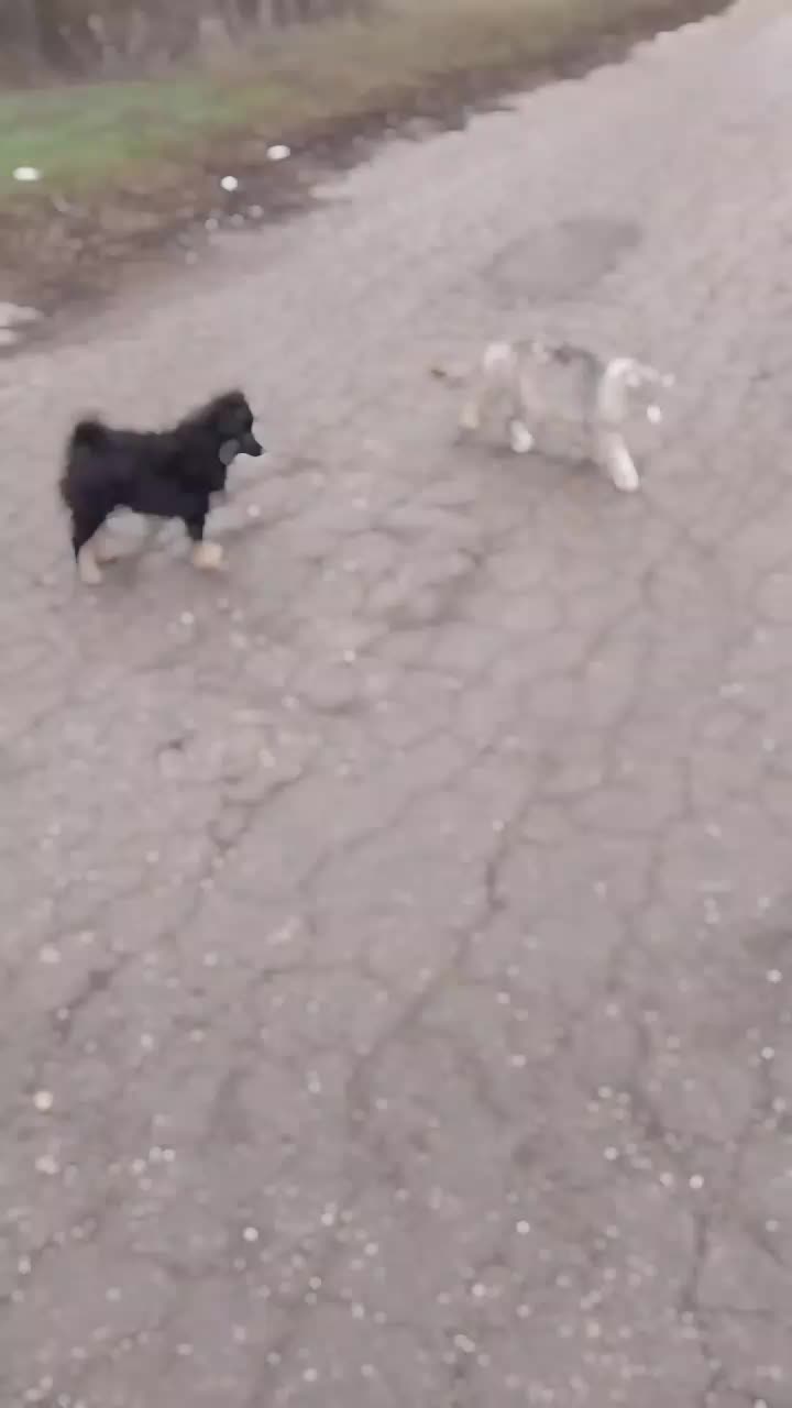 @Ленуся 🐱