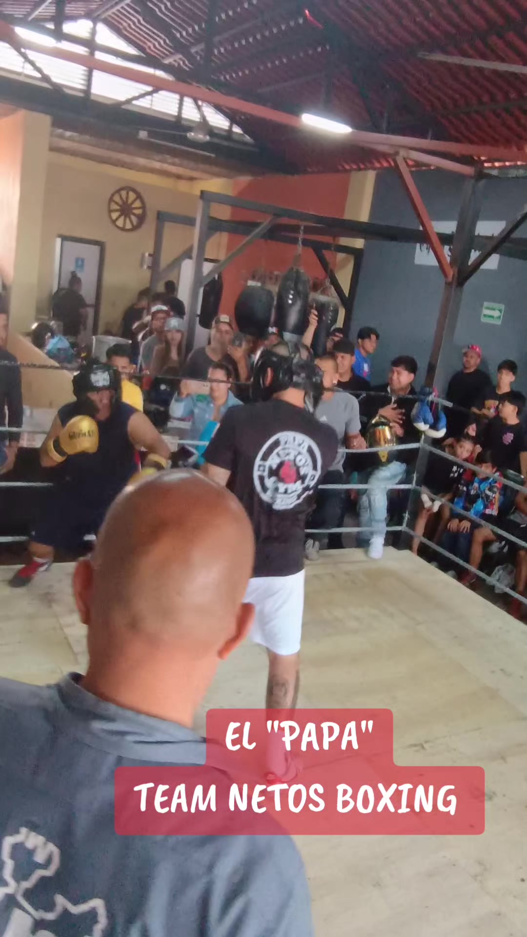 @netos boxing