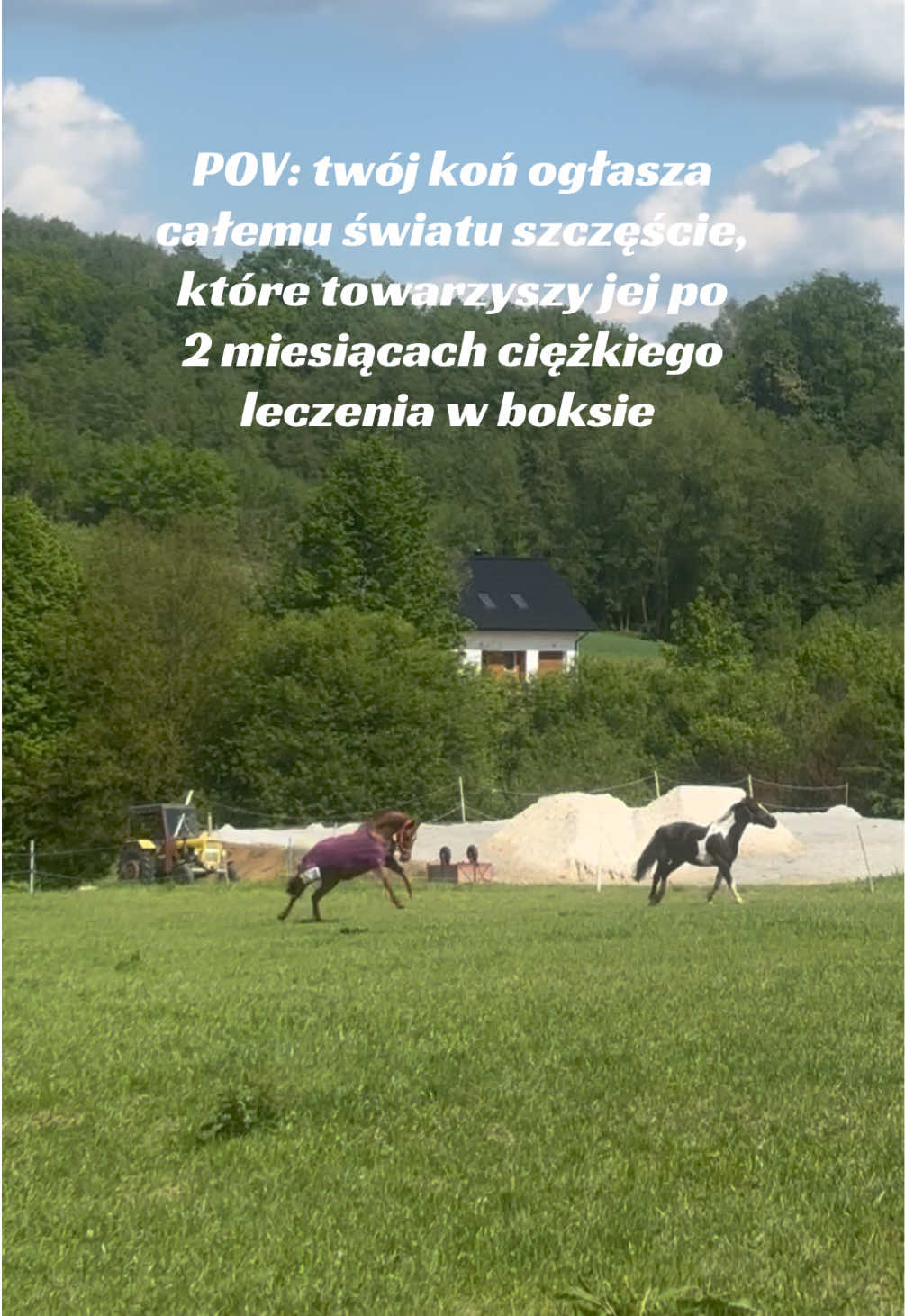@Harmonia Jeździectwa