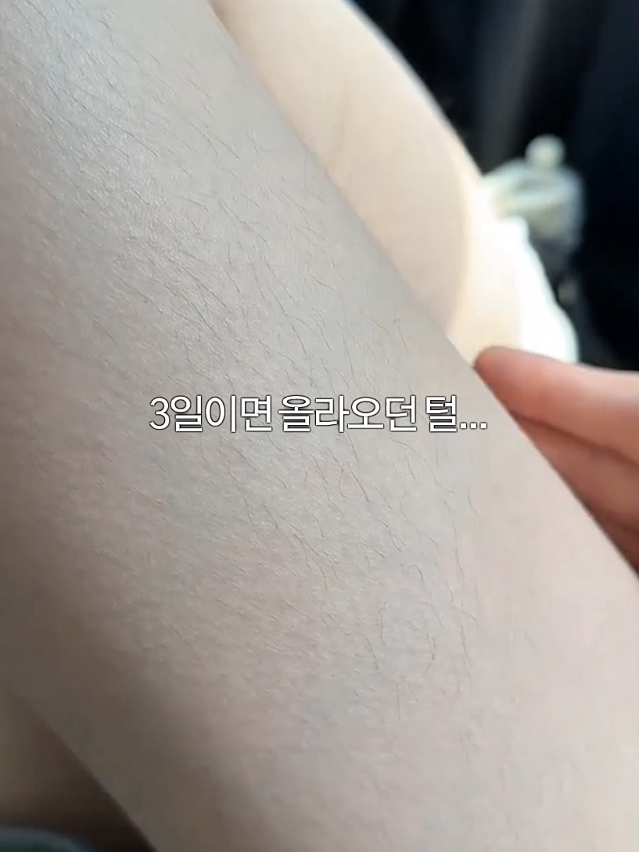 @돌고래가고래