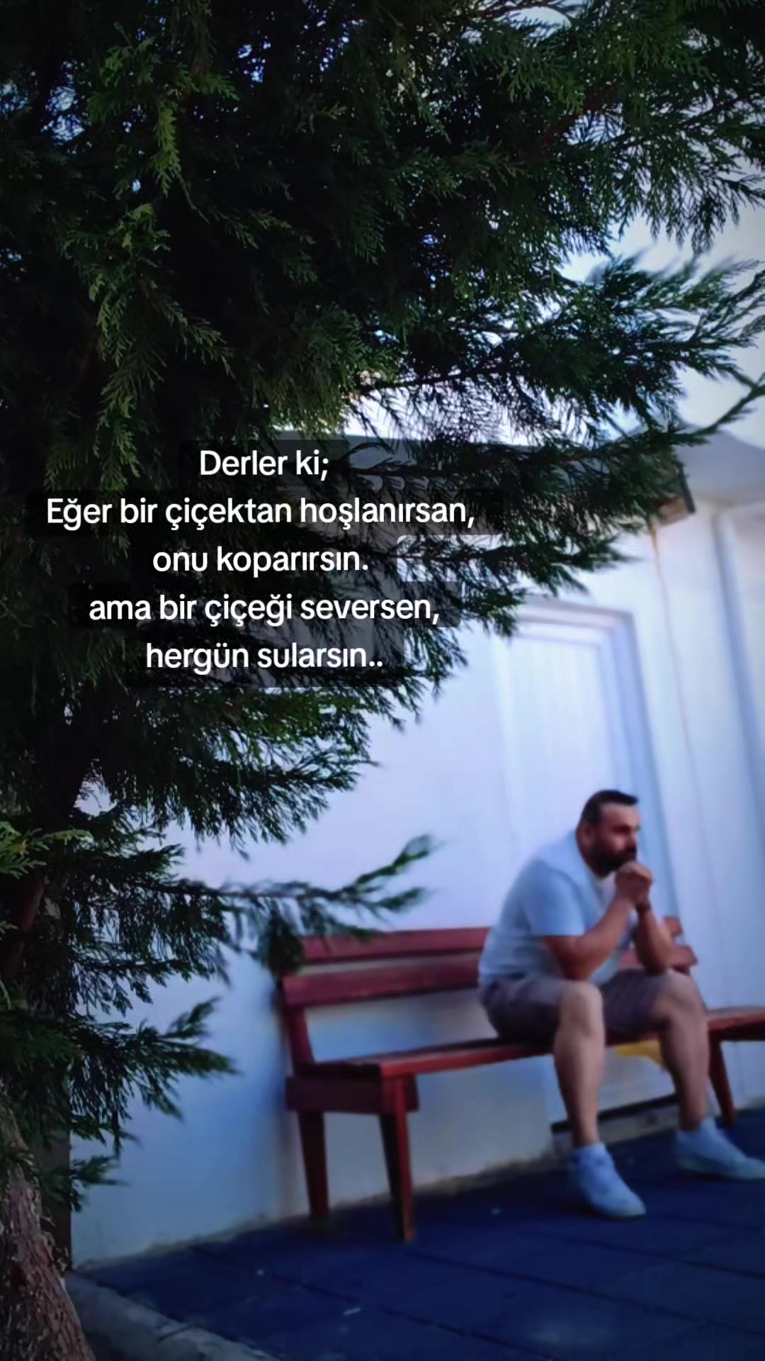 @Frkpars