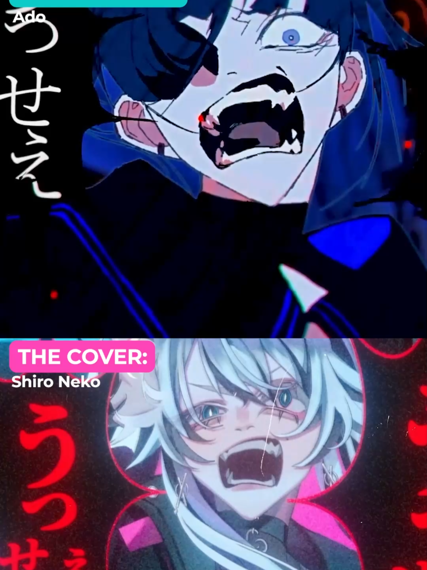 @Shiro Neko / シロネコ