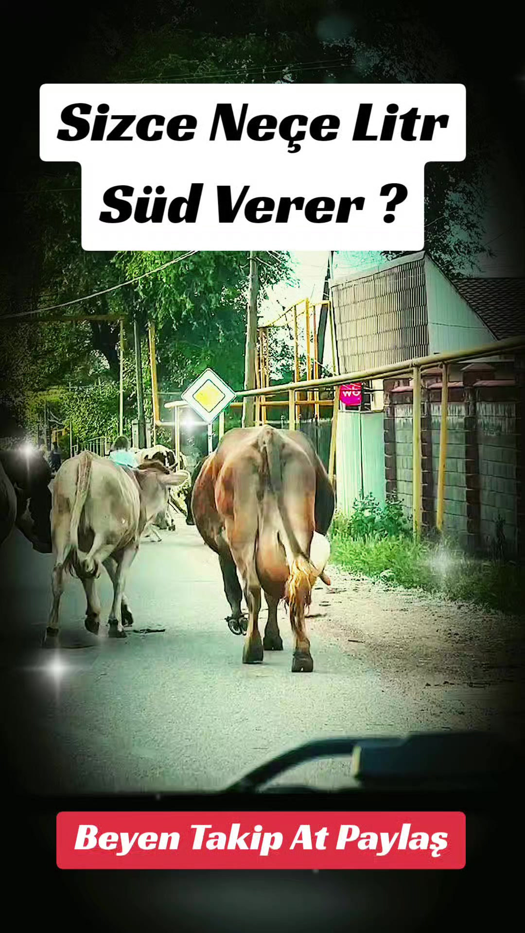 @Avarka