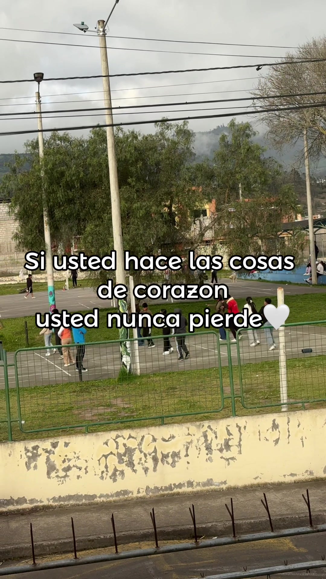 @Aide Zhunaula