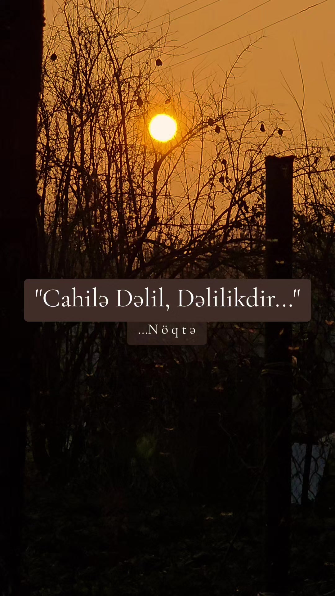 @...Noqte