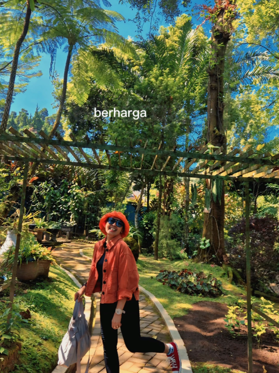 @sandradwi19