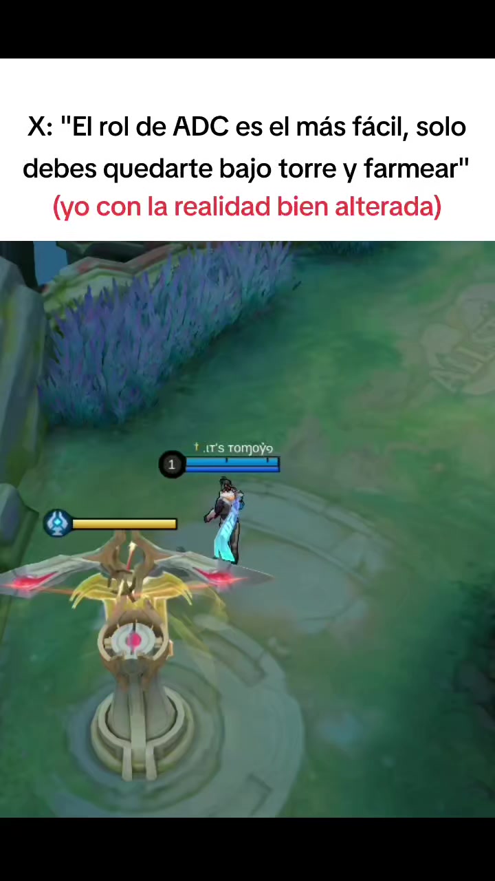 @ιт'ѕ тσмσуσ