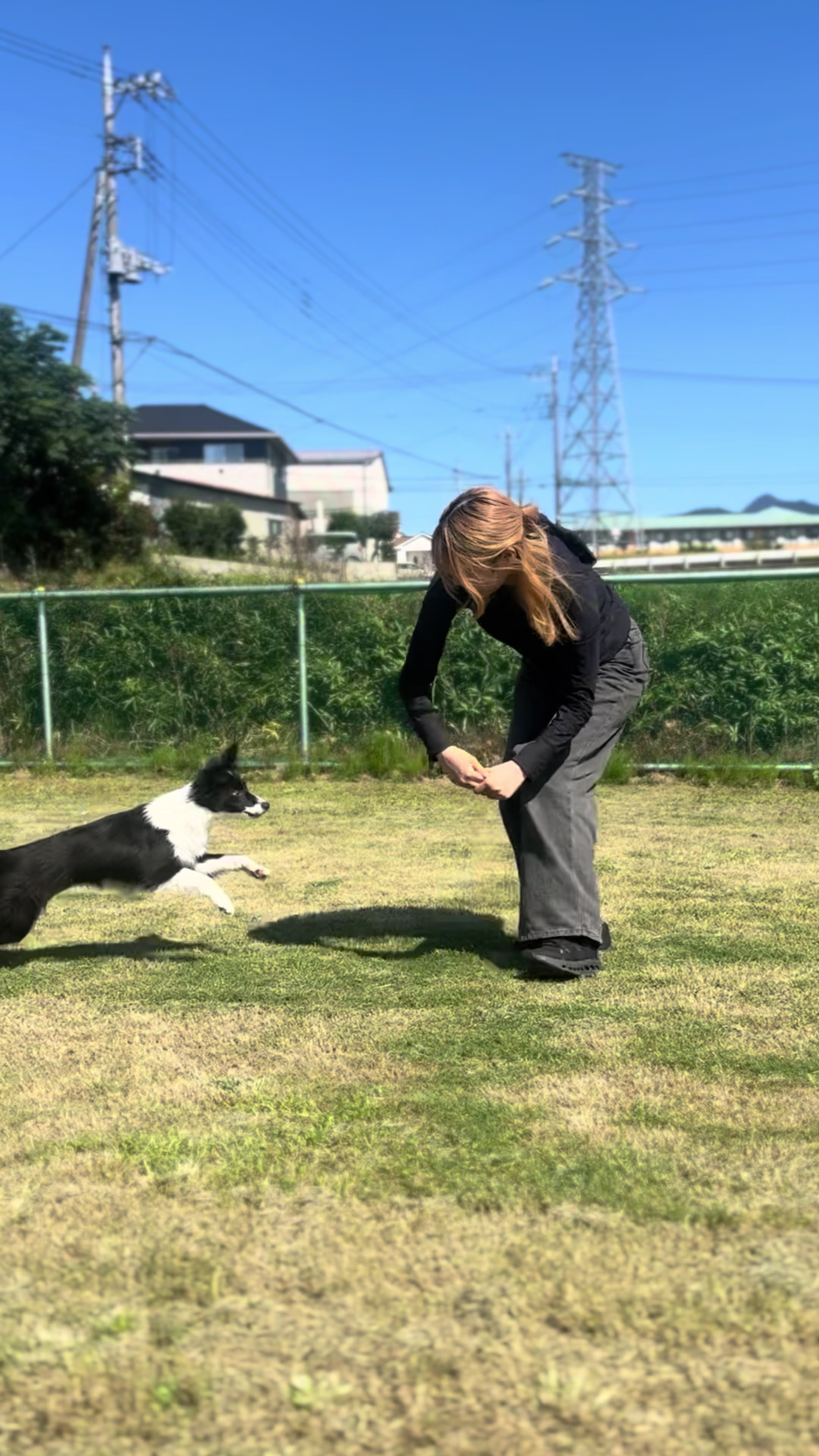 @ぽぽ家の日常