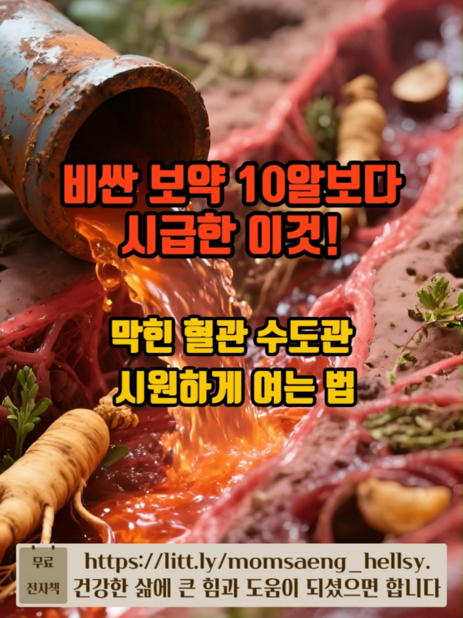 @momsaeng_hellsy