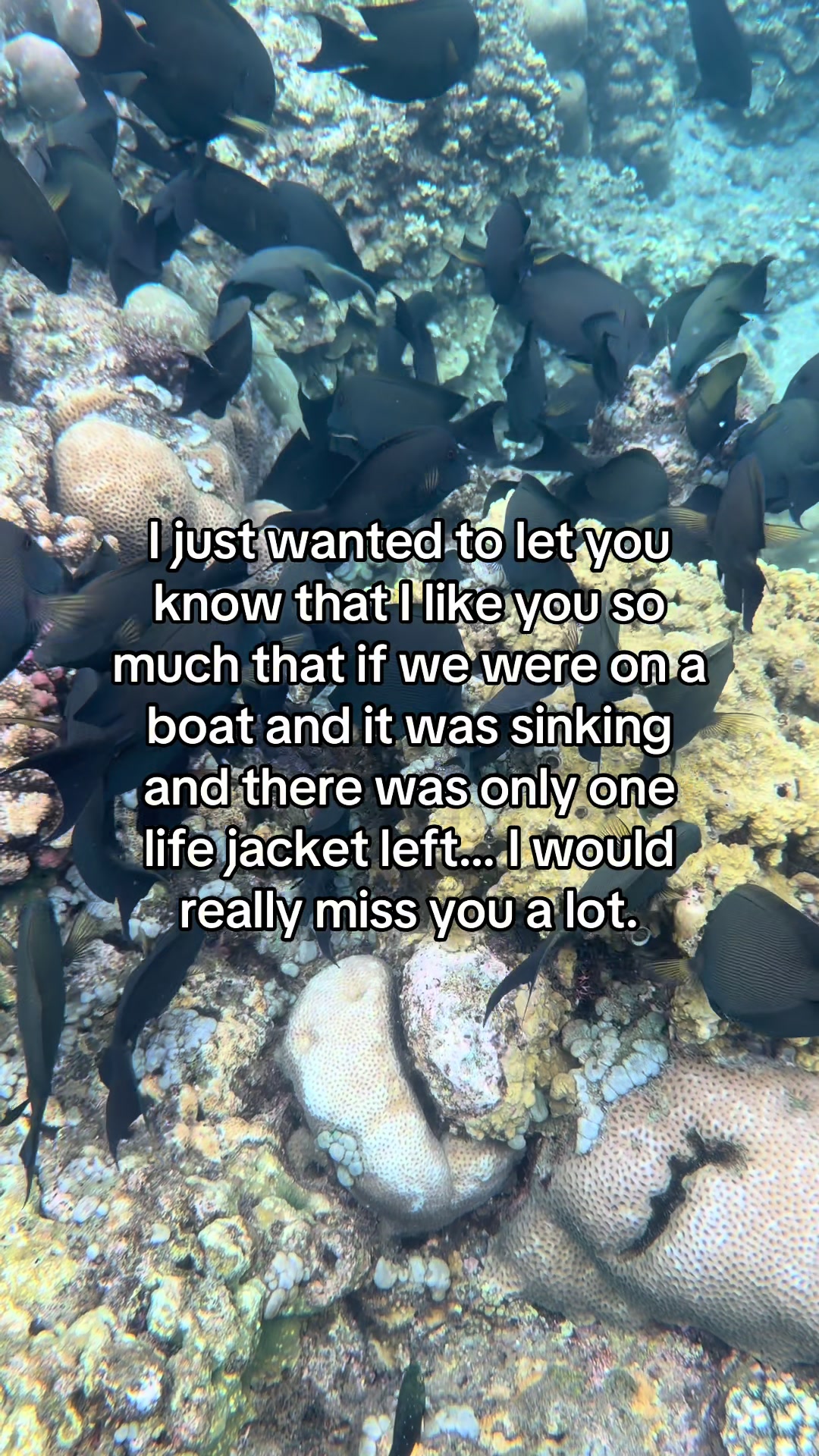 @jailbirdjonathan