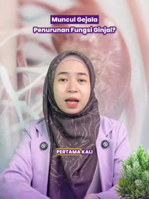 @Stemfit Official
