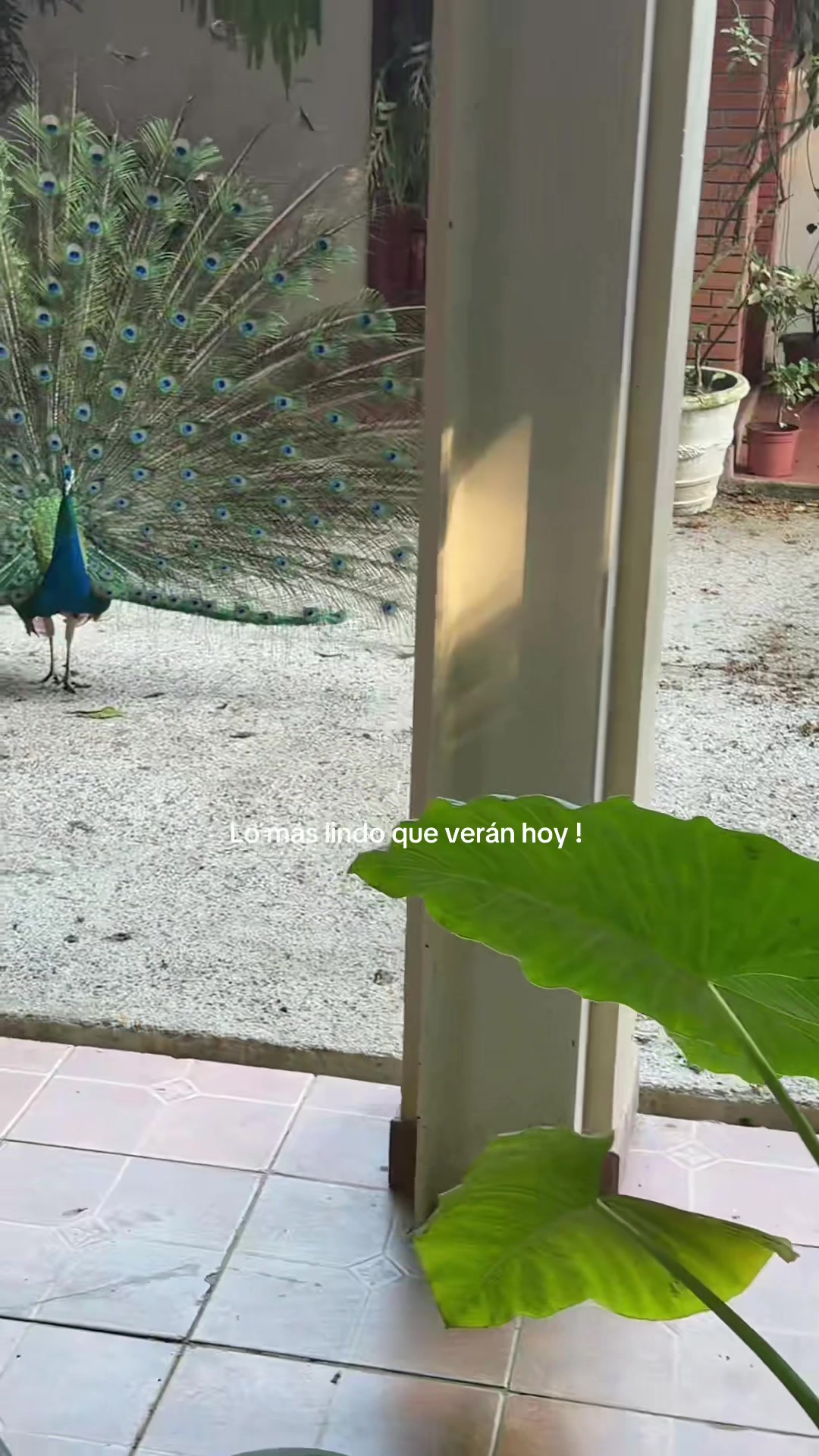 @Evelyn Martinez