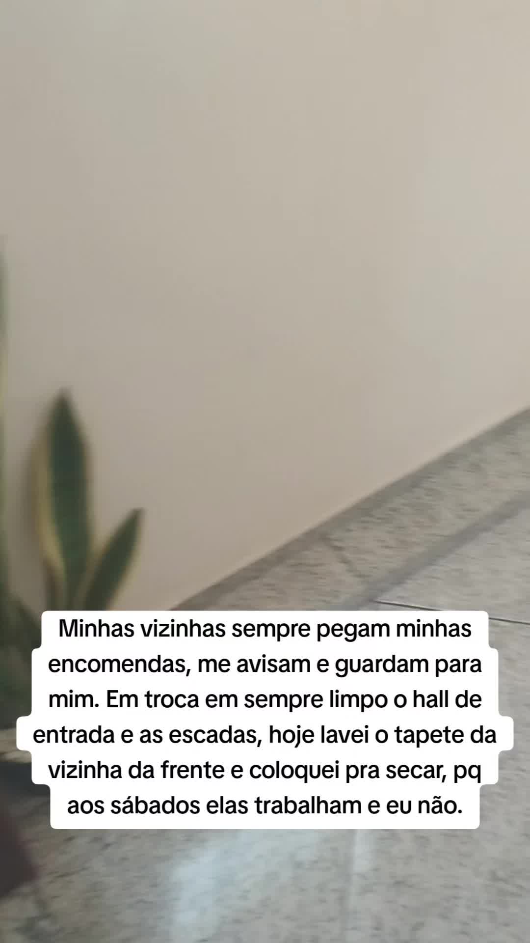 @ElizCristinaoficial