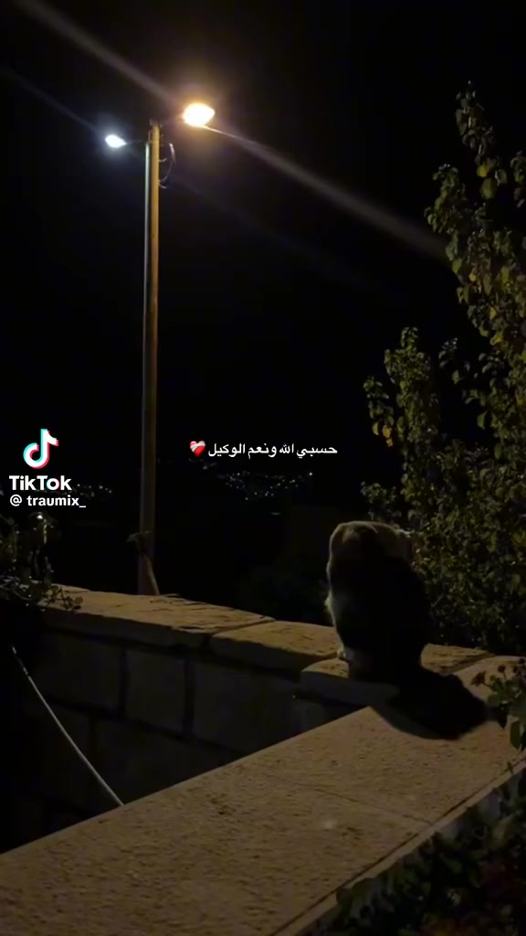 @oum yousarcif