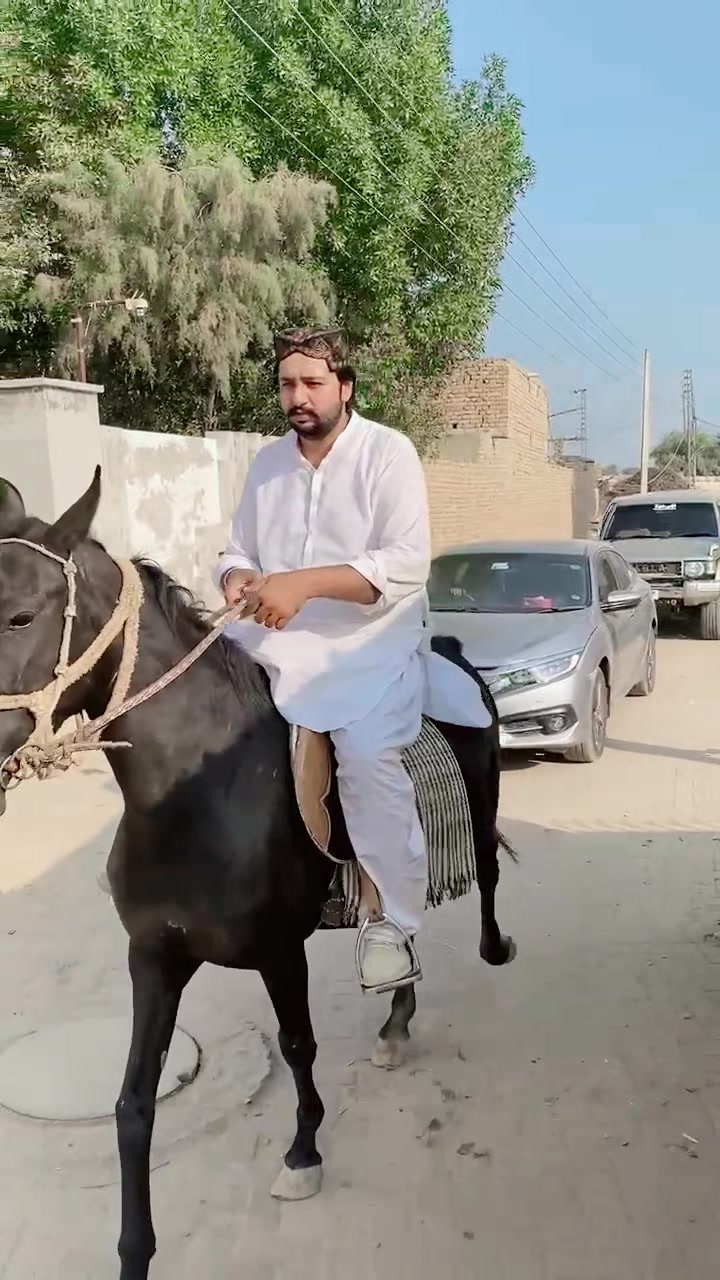 @مخدوم میاں علی عبّاس جبلہ