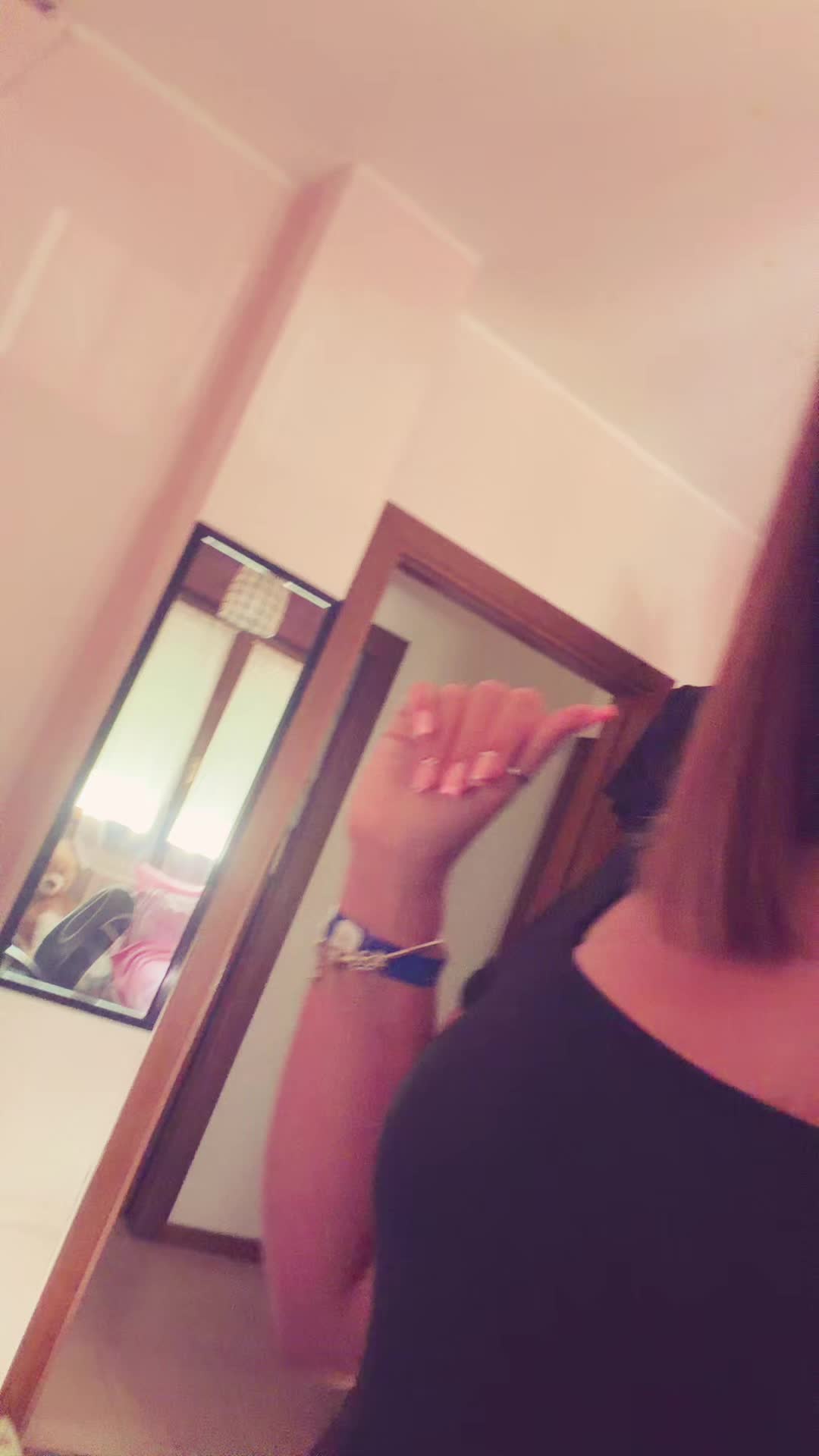 @🦈