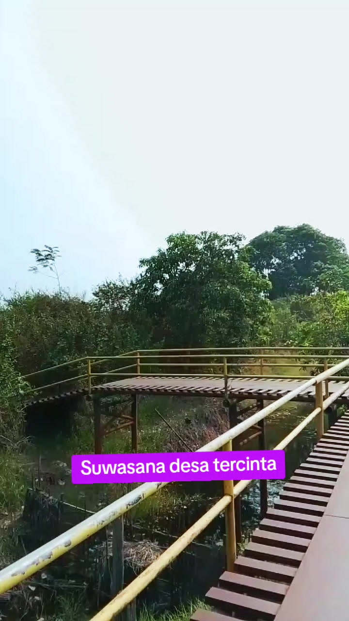 @tamrin
