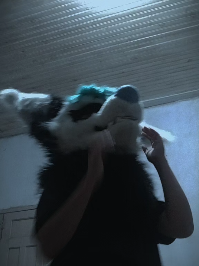 @𐂯✮⋆𝙷𝚞𝚙𝚘𝚕˙𓃡₊˚⊹🐾