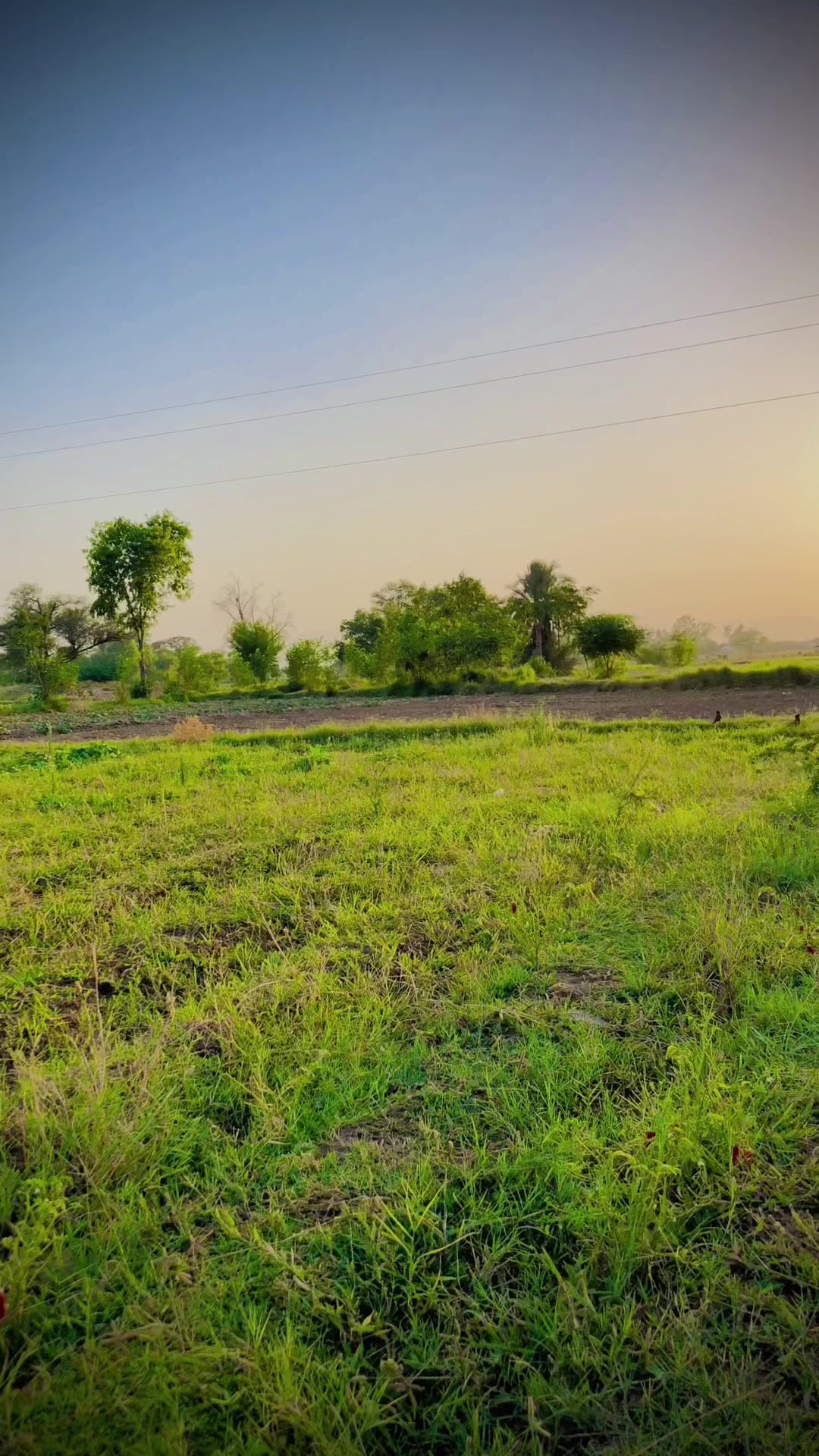 @ملک بلال اصغر کانجو