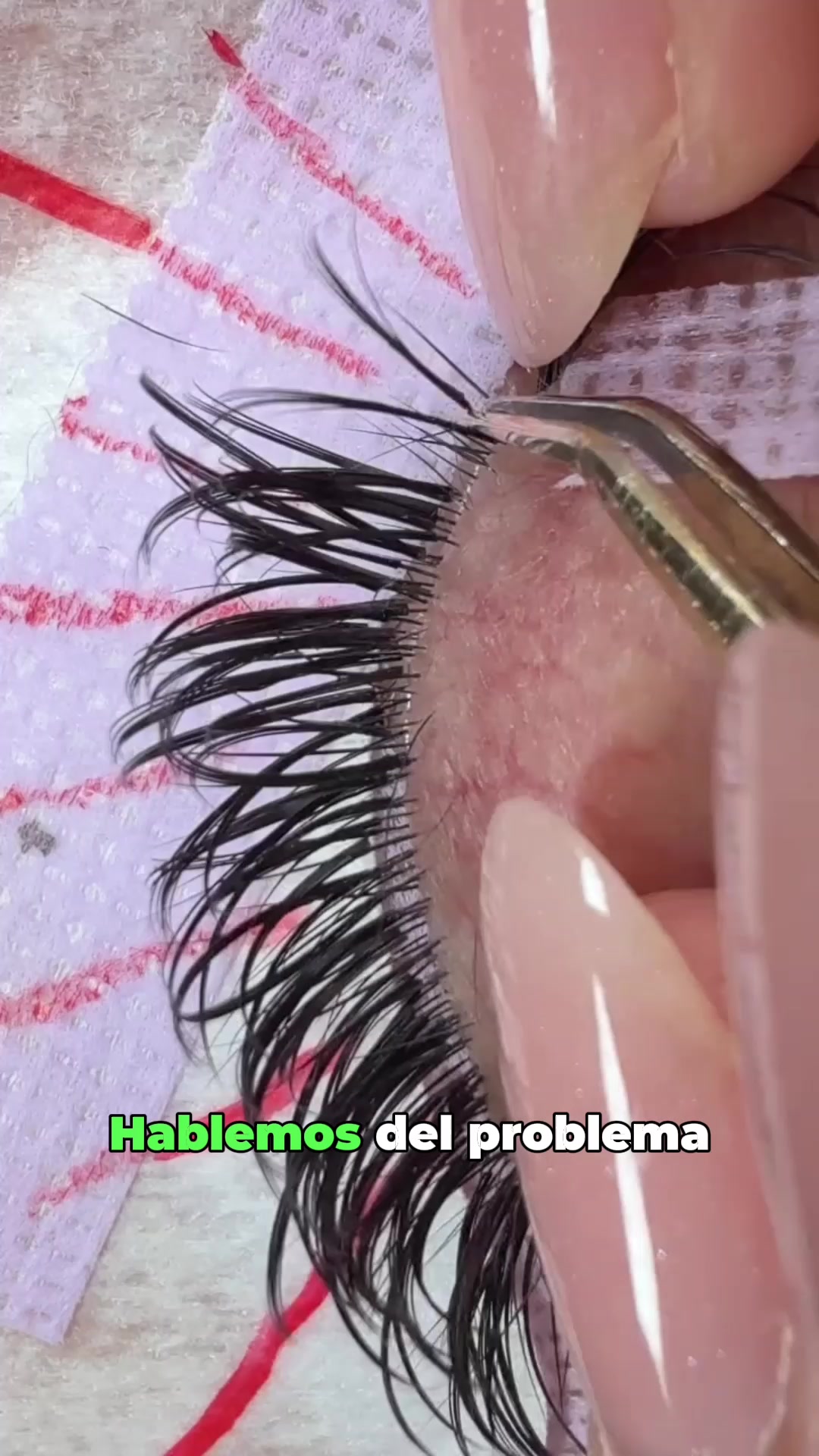 @academiadebellas
