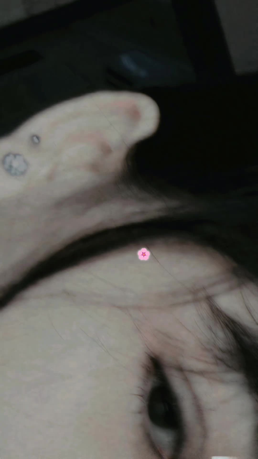 @🖤ᴍᴀʜᴀʀᴀɴɪ🫅✪