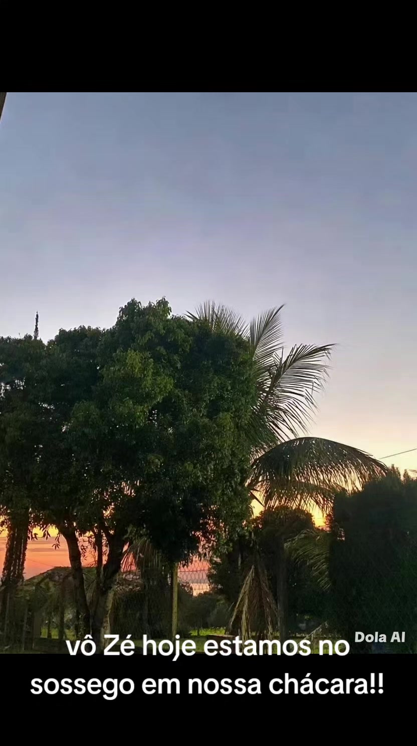 @v&ocirc; Z&eacute;