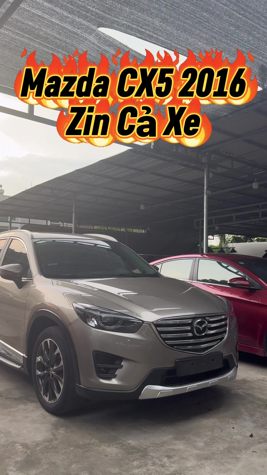 @Xế Cưng - Car World