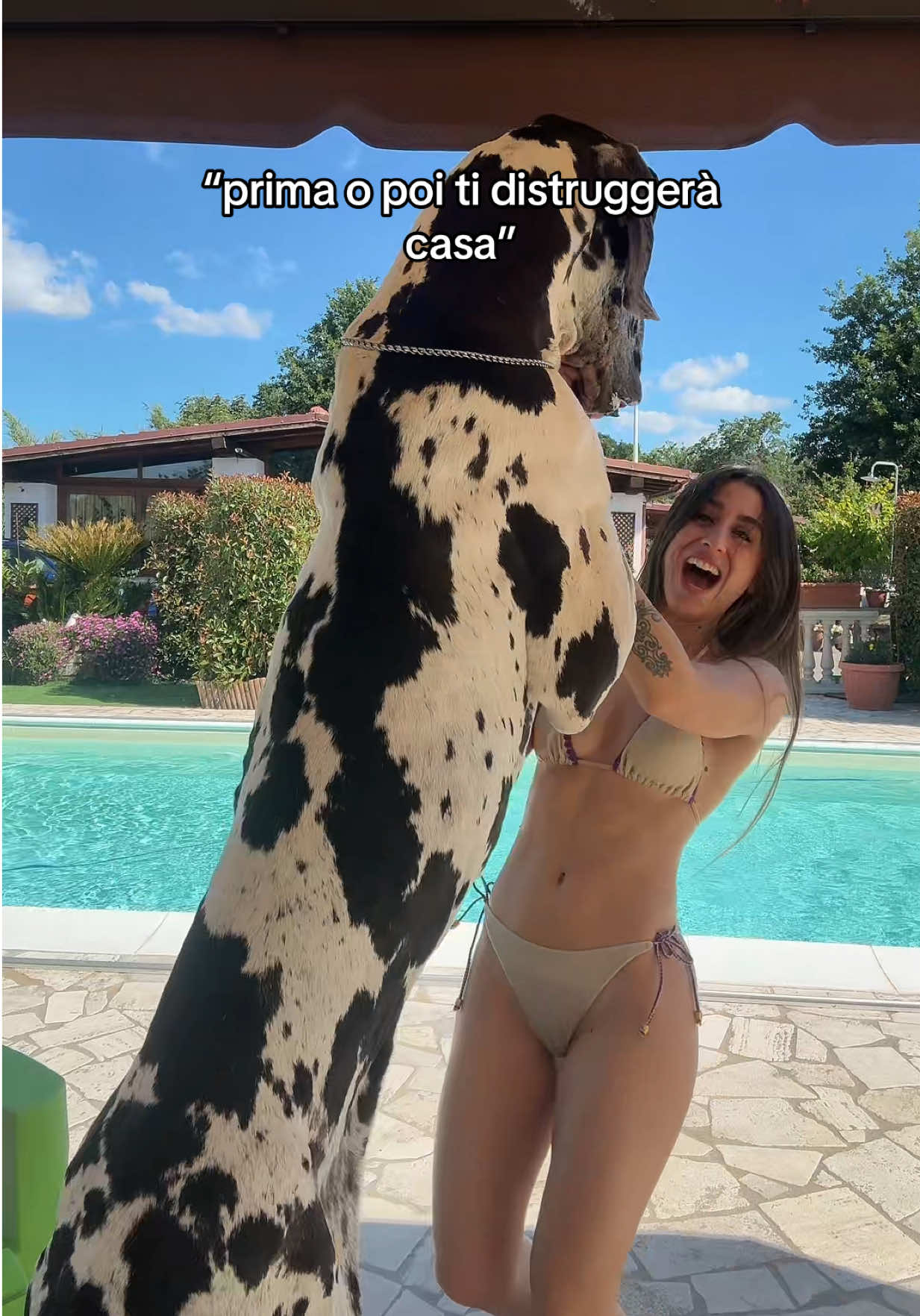 @Lucrezia Milazzo