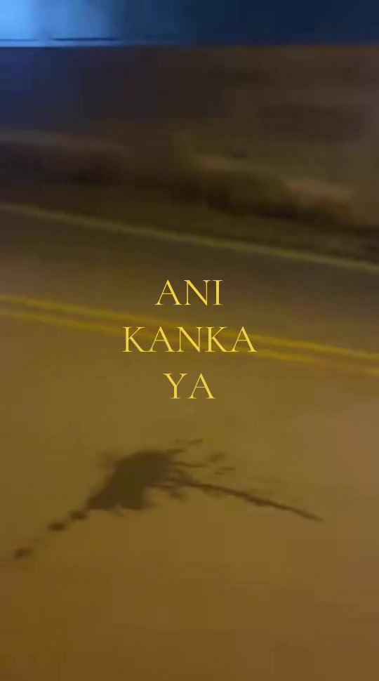 @nisa